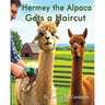 Hermey the Alpaca Gets a Haircut