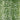 12-Pack: 78Ft. Silk Artificial Ivy Vines Leaf