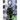 Cosmic Censorship Vol.1
