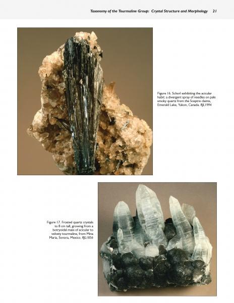 Collector's Guide to the Tourmaline Group by Schiffer Publishing