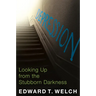 Depression: Looking Up from the Stubborn Darkness