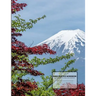 Kanji Practice Workbook: For Japanese Character Writing
