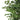 180CM ARTIFICIAL FICUS TREE