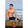 Cape Cod Seal Rescue