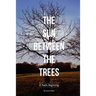 The Sun Between the Trees