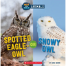 Spotted Eagle-Owl or Snowy Owl (Wild World: Hot and Cold Animals): Volume 3