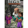 Steve's New Neighbors - New Enemies Book 12: Evokers