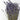 High-Grade French Lavender Flower BUNCH 14" L by OMSutra
