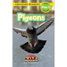 Pigeons: Animals in the City (Engaging Readers, Level Pre-1)