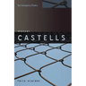Manuel Castells