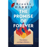 The Promise of Forever: A Completely Heartbreaking Irish Novel
