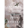Infinite Stakes: A Novel of the Battle of Britain