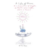 A Life of Olson: & a Sequence of Glyphs on Points of his life, work, and times