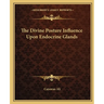 The Divine Posture Influence Upon Endocrine Glands