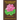 The Symbolisms in Buddhism: A Clear, Engaging, And In-depth Writing On The Buddha's Philosophies With Many Life Examples. Learn How To Put His Teachin