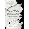 These Walls Between Us: A Memoir of Friendship Across Race and Class