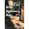 In the Slipstream of Time