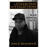 A Collection of Collections: Black American Poetry