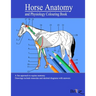 Horse Anatomy and Physiology Colouring Book: A Detailed Guide to Equine Anatomy with Answers Perfect Gift for Veterinary Students, Animal lovers, Adul