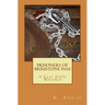 Prisoners of Brimstone Pass: A Clay Jared Western