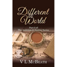 Different World: Part 5 of The Ambition & Destiny Series