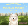 The Adventured of Mischief Mishka in Central Park: in Central Park