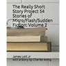 The Really Short Story Project 54 Stories of Micro/Flash/Sudden Fiction: Volume 2