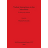 Violent Interactions in the Mesolithic: Evidence and meaning