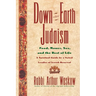 Down-To-Earth Judaism: Food, Money, Sex, and the Rest of Life