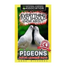 Everything You Should Know About: PIGEONS Faster Learning Facts
