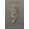 Impossible Object