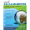 Math Mammoth Grade 2-B Worktext (Canadian Version)