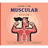 A Tour of the Muscular System