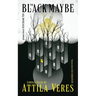 The Black Maybe: Liminal Tales