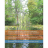 Arizona Certified Water Operator Certification Exam Unofficial Self Practice Exercise Questions: covering Fundamental TREATMENT Knowledge Topics compa