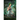 Prison Princess: Paranormal Prison