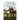 Adventures of the Horse Doctor's Husband 3