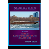 Niagara Falls and the Mysterious Barge