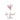 Her Unsent Letters