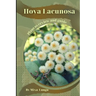 Hoya Lacunosa: Plant overview and guide