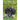 Nobunoni Book Of Shadows