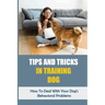 Tips And Tricks In Training Dog: How To Deal With Your Dog's Behavioral Problems: Tricks To Teach Your Puppy