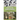 Death in the Memorial Garden