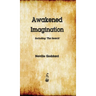 Awakened Imagination