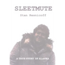 Sleetmute