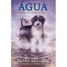 Agua, the Mysterious Portuguese Water Dog