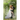 Exchanging Grooms