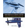 Northrop N-63 Convoy Fighter: The Naval VTOL Turboprop Tailsitter Project of 1950
