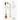 Rooted: Global Herbal Wisdom For Pregnancy & Postpartum: Usage and Caution