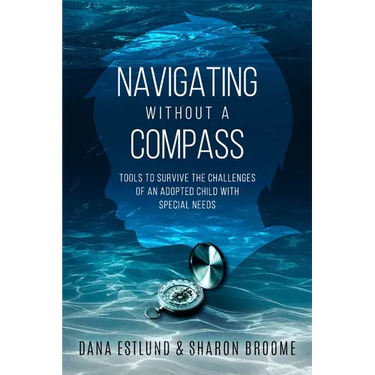 Navigating Without a Compass: Tools to Survive the Challenges of an Adopted Child with Special Needs